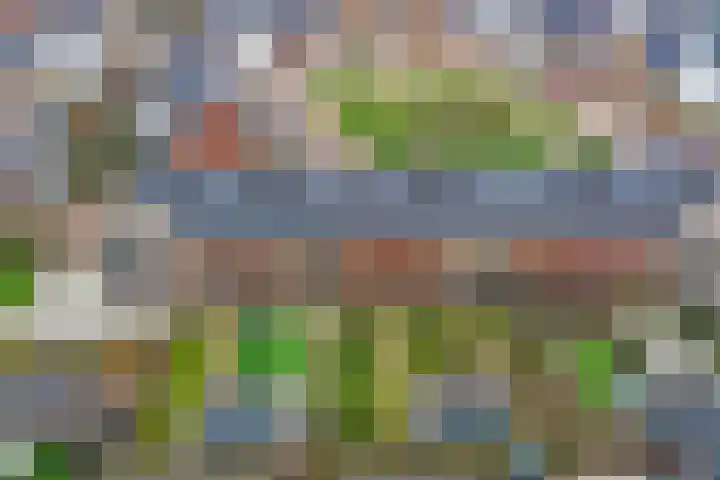 Eenhoorn 10 Kruiningen thumbnail 65