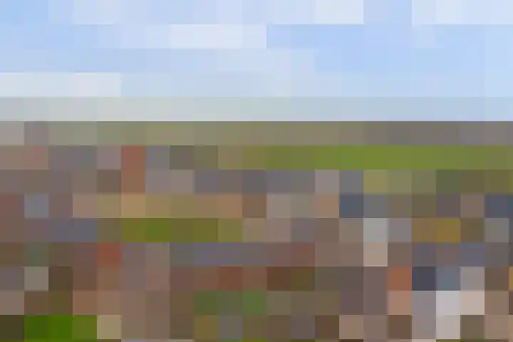 Eenhoorn 10 Kruiningen thumbnail 66