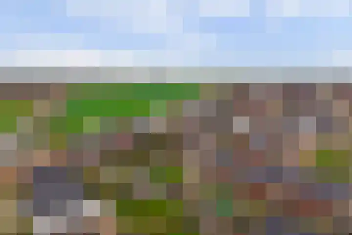 Eenhoorn 10 Kruiningen thumbnail 67