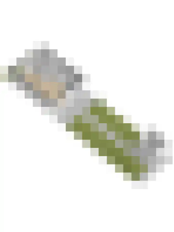 Eenhoorn 10 Kruiningen thumbnail 78