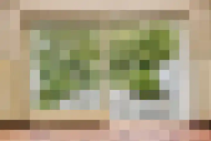 Eenhoorn 13 Amstelveen thumbnail 15