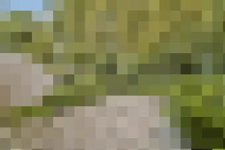 Eenhoorn 13 Amstelveen thumbnail 16
