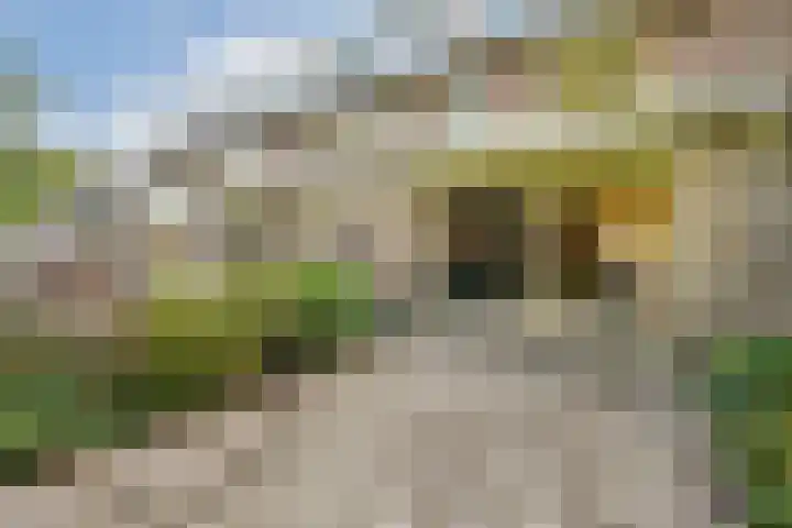 Eenhoorn 13 Amstelveen thumbnail 17