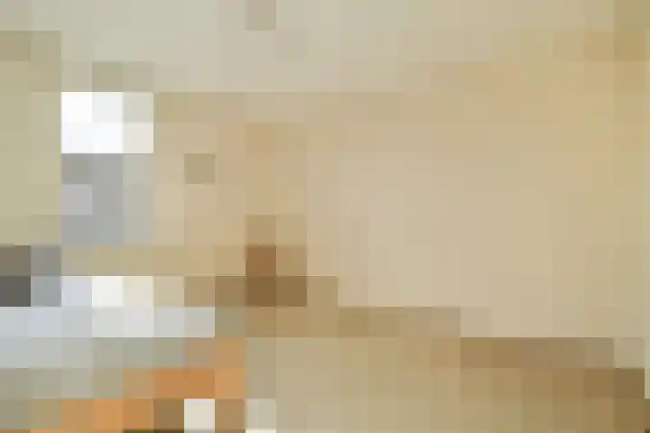 Eenhoorn 13 Amstelveen thumbnail 22