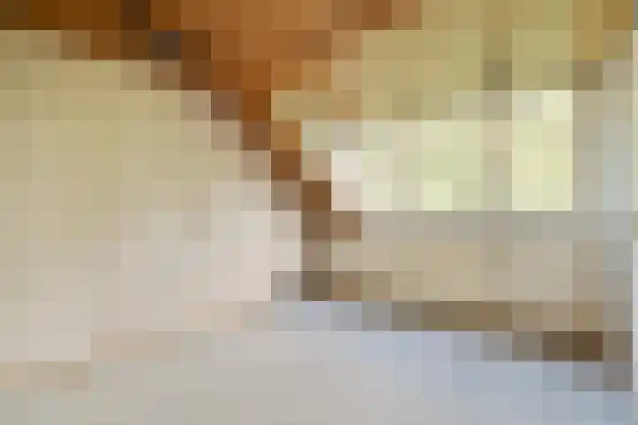 Eenhoorn 13 Amstelveen thumbnail 26