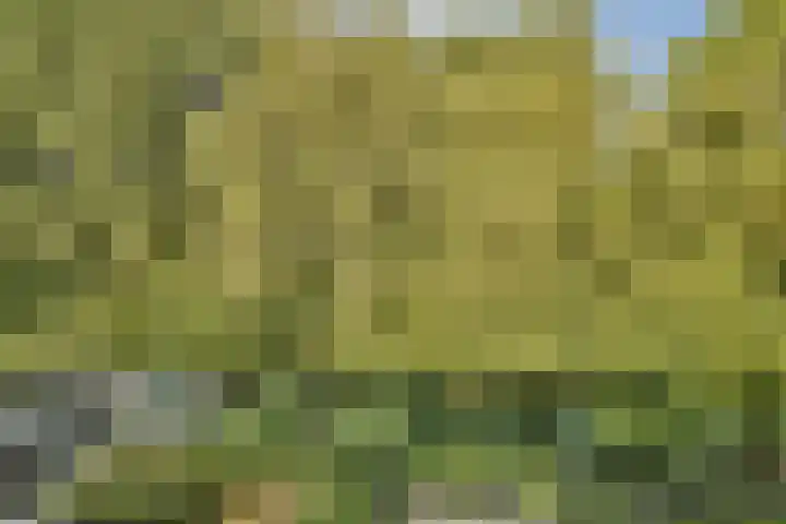 Eenhoorn 13 Amstelveen thumbnail 28