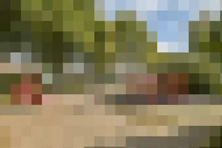 Eenhoorn 13 Amstelveen thumbnail 29