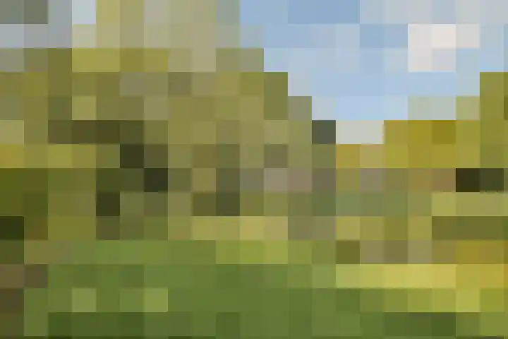 Eenhoorn 13 Amstelveen thumbnail 30