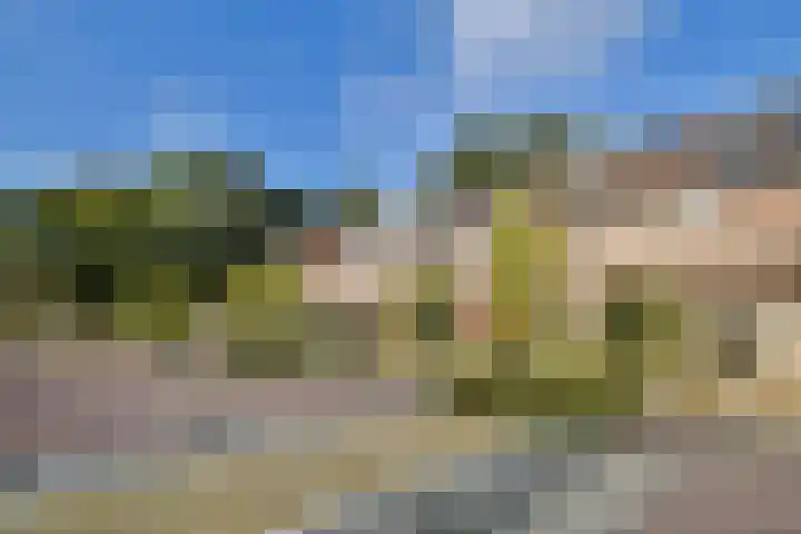 Eenhoorn 13 Amstelveen thumbnail 6
