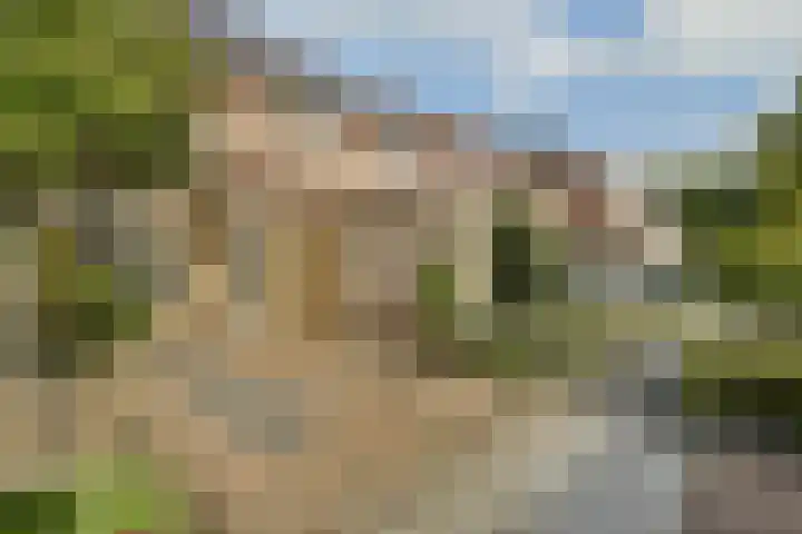 Eenhoorn 13 Amstelveen thumbnail 7