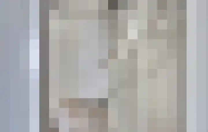 Eenhoorn 14 Kruiningen thumbnail 16