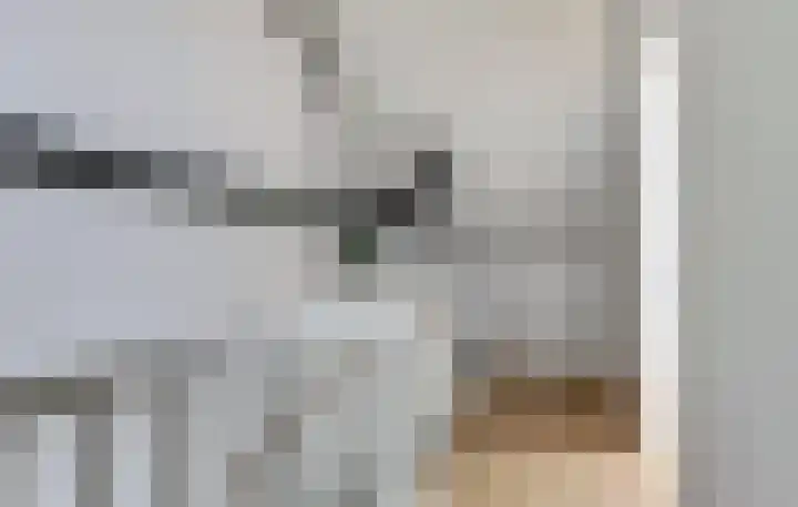 Eenhoorn 14 Kruiningen thumbnail 18