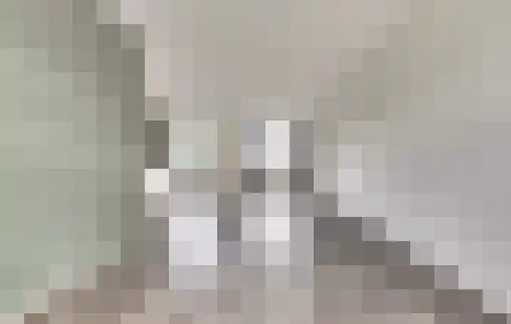 Eenhoorn 14 Kruiningen thumbnail 4