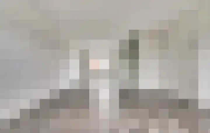 Eenhoorn 14 Kruiningen thumbnail 5