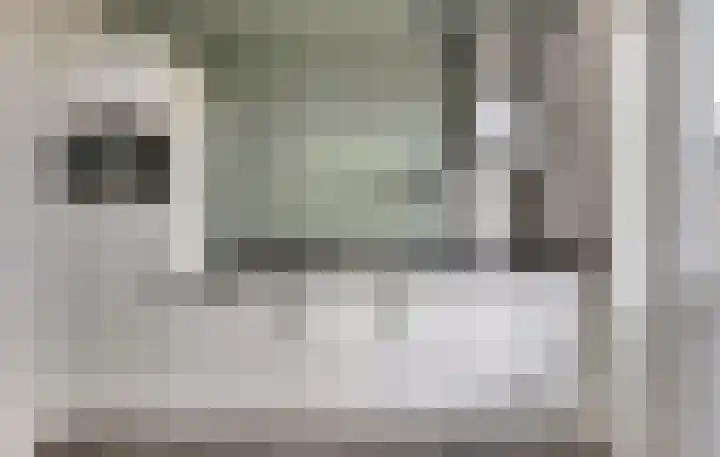 Eenhoorn 14 Kruiningen thumbnail 8