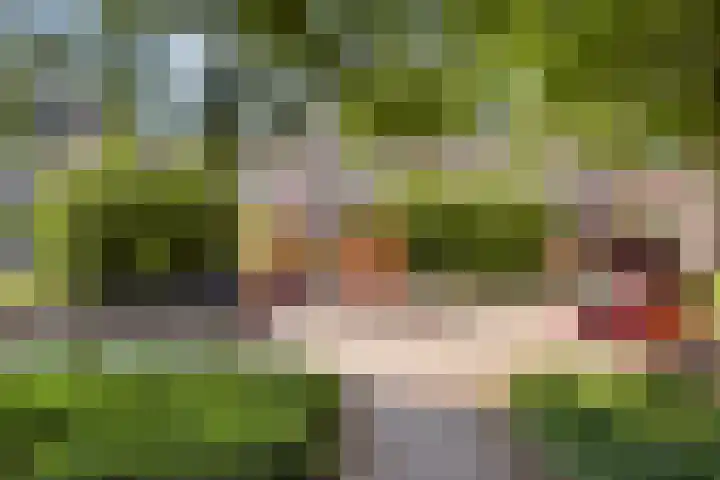 Eenhoorn 54 Amstelveen thumbnail 23