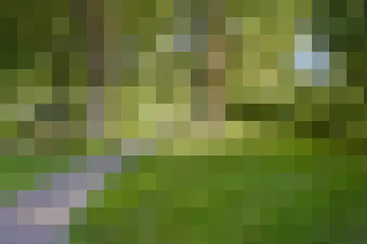 Eenhoorn 54 Amstelveen thumbnail 24