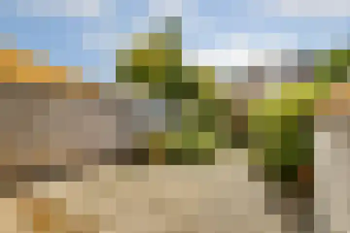 Eenhoorn 54 Amstelveen thumbnail 8