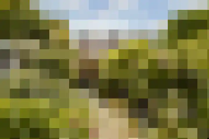 Eenhoorn 54 Amstelveen thumbnail 9