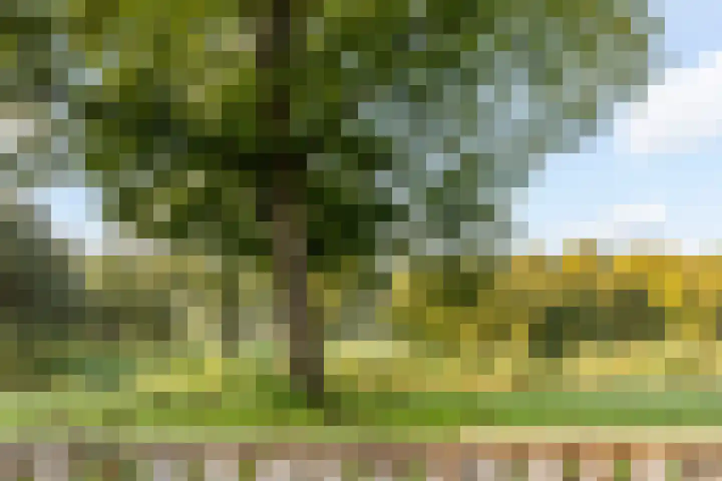 Eenhoornhof 4 H Amsterdam thumbnail 17