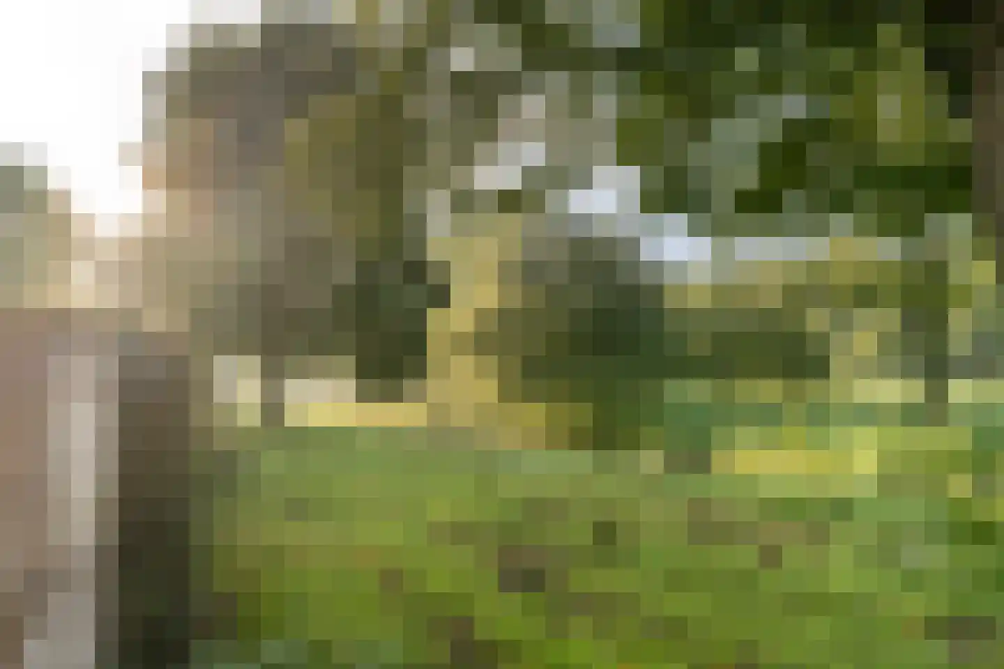 Eenhoornhof 4 H Amsterdam thumbnail 18