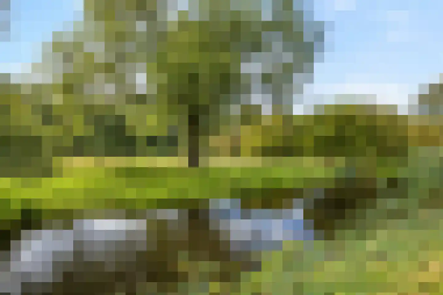 Eenhoornhof 4 H Amsterdam thumbnail 19