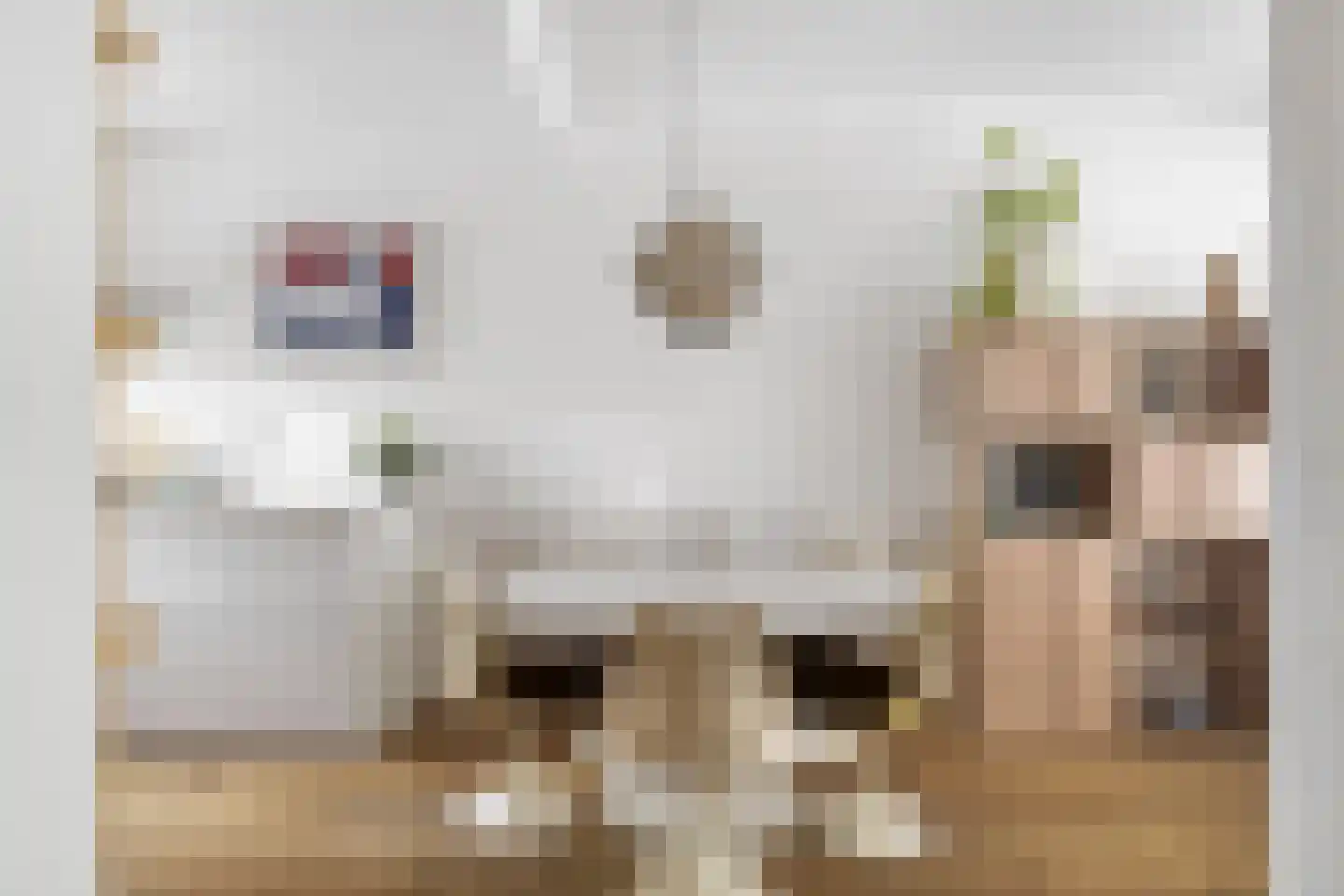 Eenhoornhof 4 H Amsterdam thumbnail 9