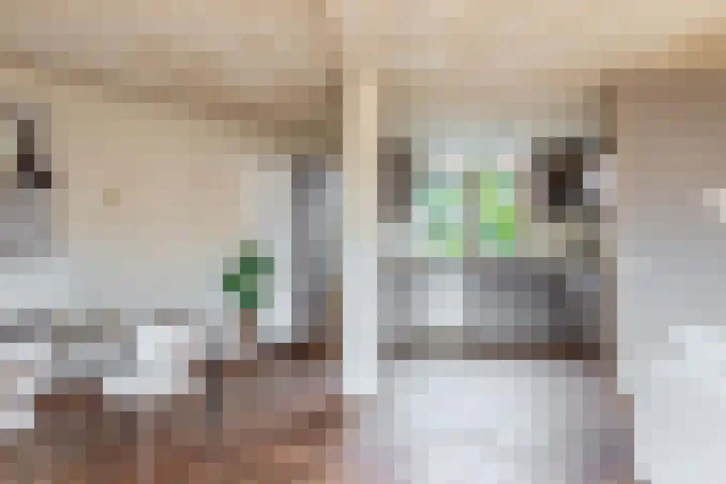 Eenhoornlaan 27 Beverwijk thumbnail 8