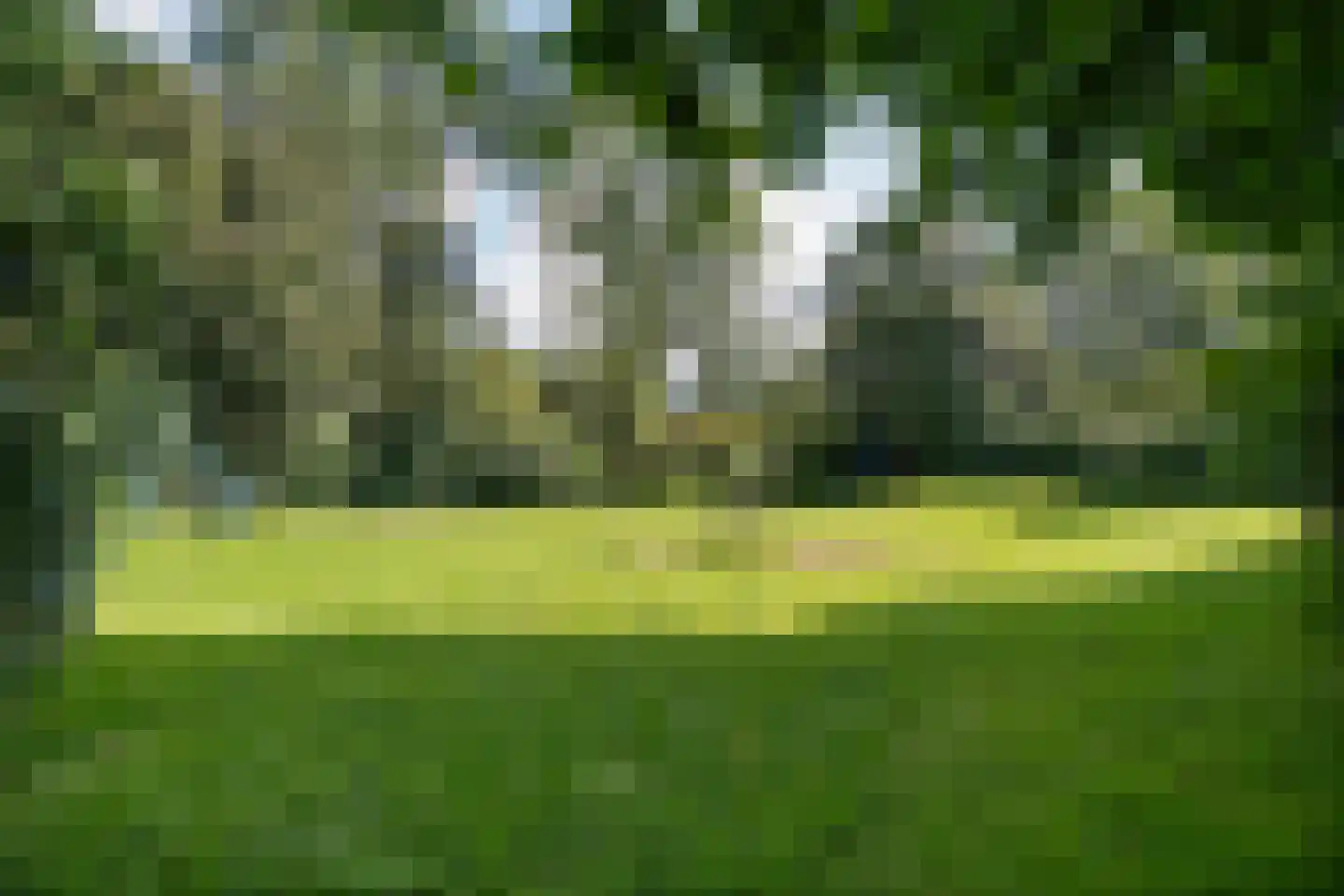 Eenhoornplaat 18 Emmeloord thumbnail 45