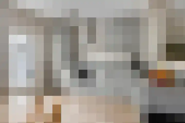 Eenhoornplaat 22 Emmeloord thumbnail 10
