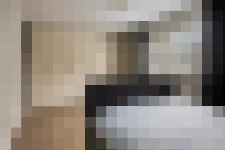 Eenhoornplaat 22 Emmeloord thumbnail 18