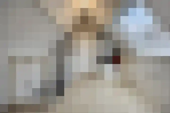 Eenhoornplaat 22 Emmeloord thumbnail 24