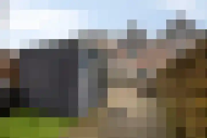 Eenhoornplaat 22 Emmeloord thumbnail 29