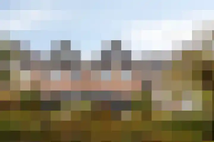Eenhoornplaat 22 Emmeloord thumbnail 31