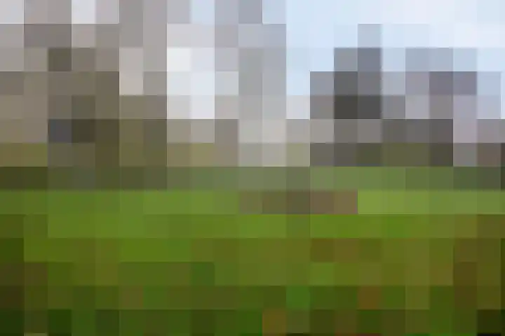 Eenhoornplaat 22 Emmeloord thumbnail 34