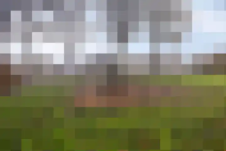 Eenhoornplaat 22 Emmeloord thumbnail 35