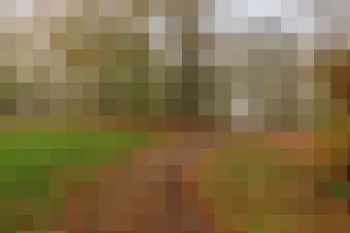 Eenhoornplaat 22 Emmeloord thumbnail 36