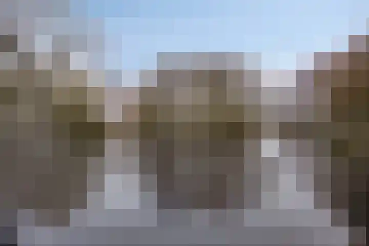 Eenhoornplaat 22 Emmeloord thumbnail 37