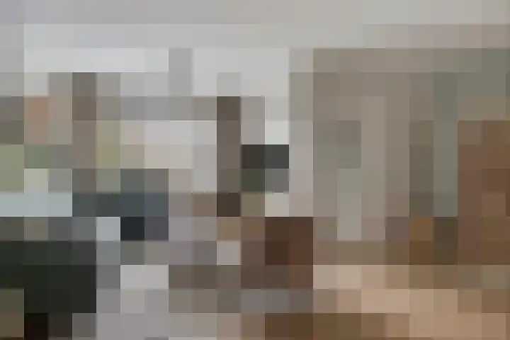 Eenhoornplaat 22 Emmeloord thumbnail 7