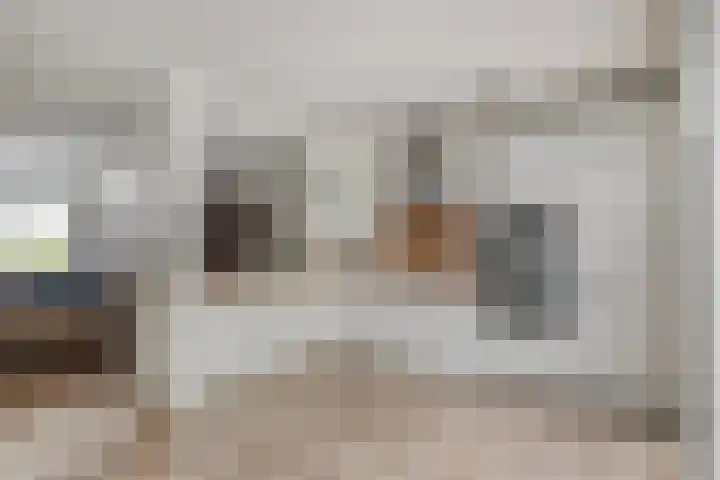 Eenhoornplaat 4 Emmeloord thumbnail 18