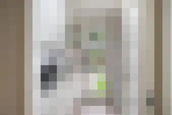 Eenhoornplaat 4 Emmeloord thumbnail 23