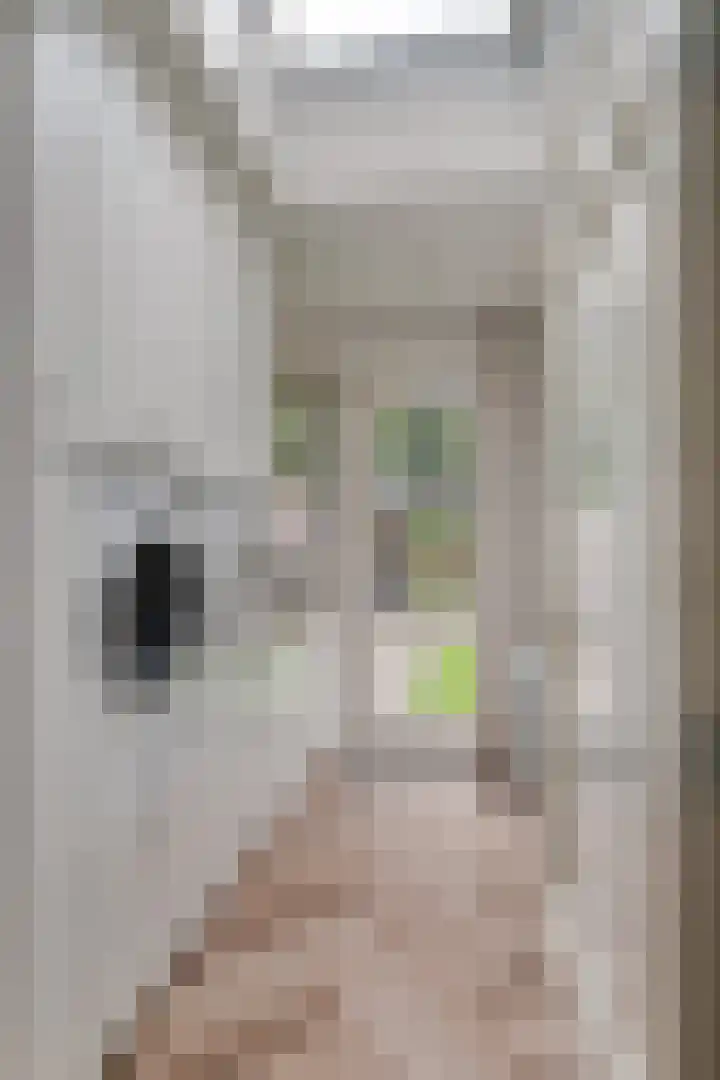 Eenhoornplaat 4 Emmeloord thumbnail 24