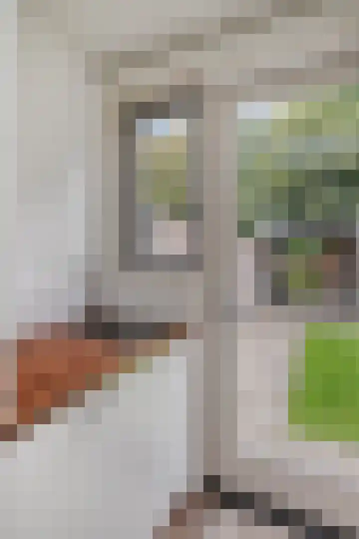 Eenhoornplaat 4 Emmeloord thumbnail 25