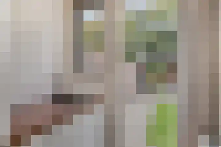 Eenhoornplaat 4 Emmeloord thumbnail 26