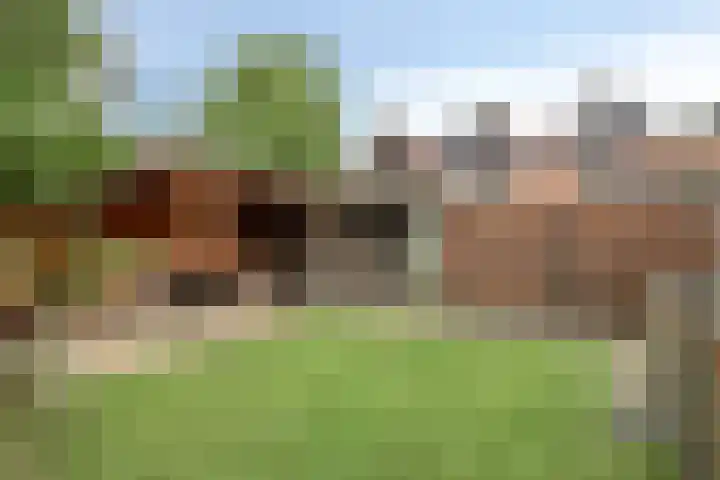 Eenhoornplaat 4 Emmeloord foto 3