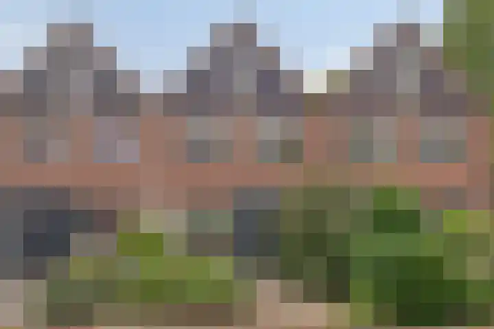 Eenhoornplaat 4 Emmeloord thumbnail 4