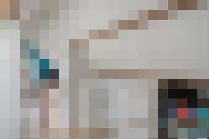 Eenhoornplaat 4 Emmeloord thumbnail 40