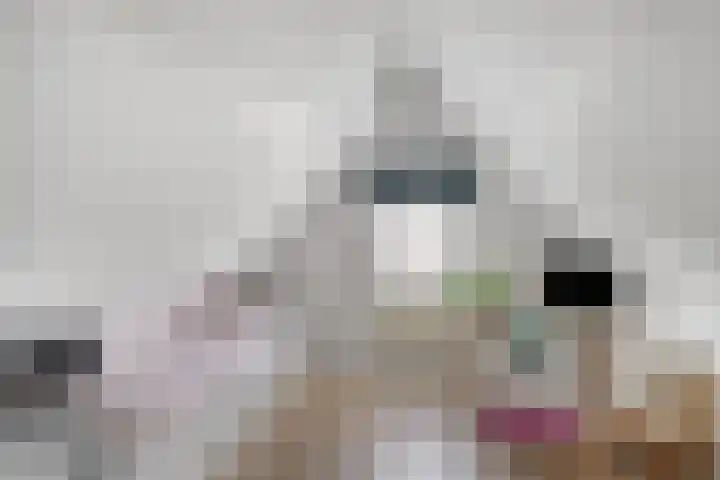 Eenhoornplaat 4 Emmeloord thumbnail 41