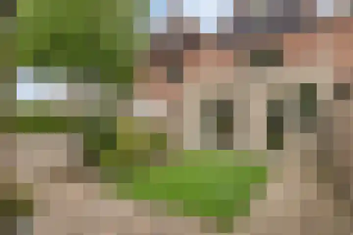 Eenhoornplaat 4 Emmeloord thumbnail 45