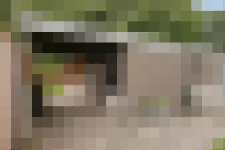 Eenhoornplaat 4 Emmeloord thumbnail 47